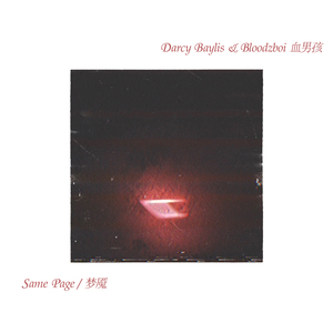 张筱雨最新动态消息
