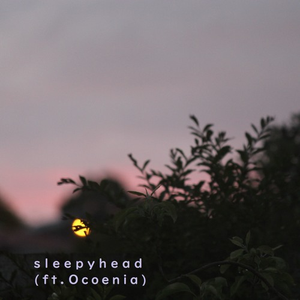 张筱雨最新动态消息
