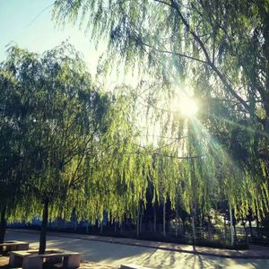 张筱雨最新动态消息
