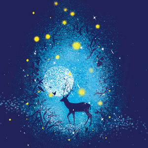 张筱雨最新动态消息
