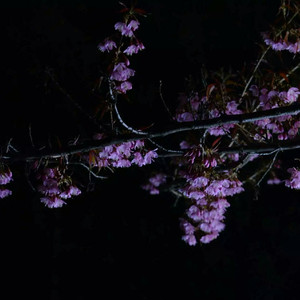 张筱雨最新动态消息
